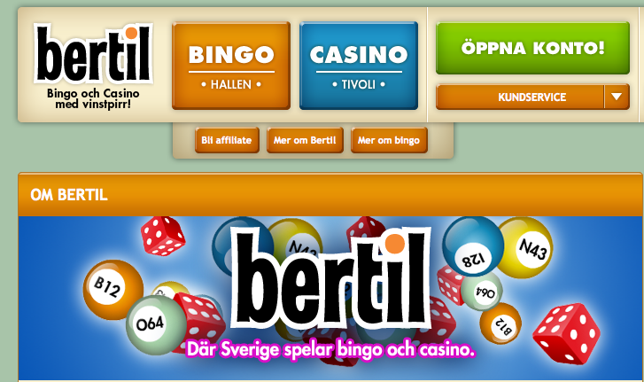 Skärmdump 1