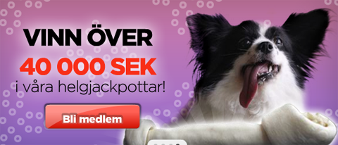 sätt lite bingo på tillvaron