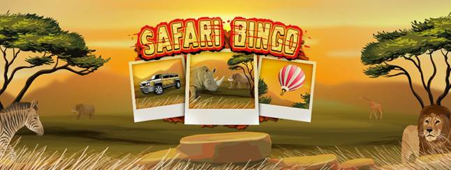 Safari Hunter bet365
